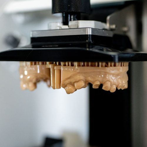 3D Printed Models